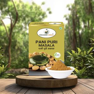 Zesty Street Pani Puri Masala Powder