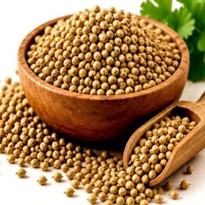 Coriander Seeds