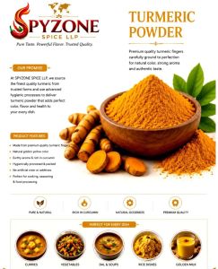 Salem Turmeric Powder