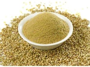 Dried Coriander Powder