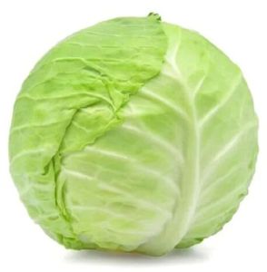 A Grade Fresh Green Cabbage