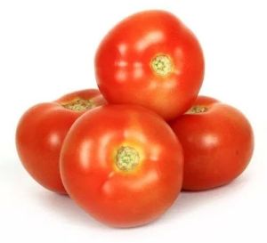 A Grade Fresh Red Tomato
