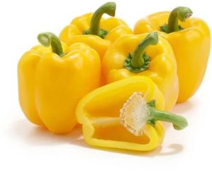 A Grade Yellow Bell Pepper