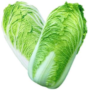 Fresh Green China Cabbage