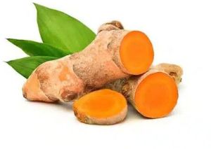 Fresh Raw Turmeric