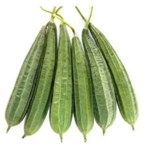 Fresh Ridge Gourd