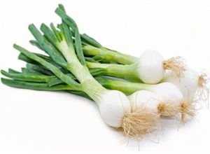Fresh Spring Onion