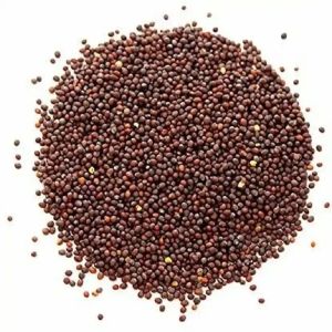 Brown Mustard Seeds