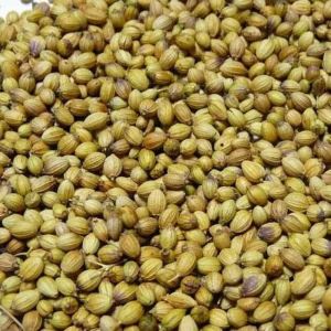 Eagle Coriander Seeds