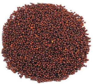 Red Mustard Seeds