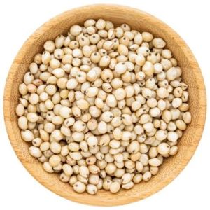 White Sorghum Seeds