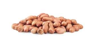 Farm Fresh Peanuts