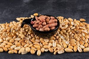 Premium Gg Peanuts