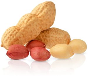 Premium Organic Peanuts
