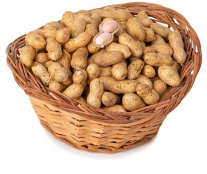 Premium Peanut Seeds