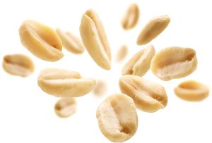 Processed Split Peanuts