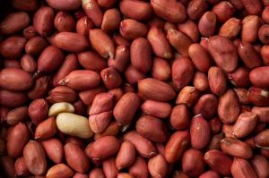Raw Peanuts