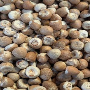 Brown Dried Areca Nut