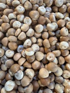 Brown Dried Areca Nut