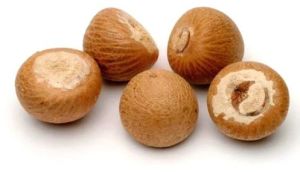 Whole Dried Areca Nut