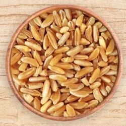 Durum Wheat Grain