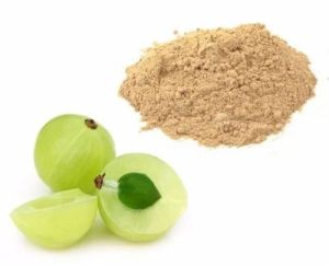 Natural Amla Powder