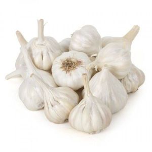 Fresh White Garlic