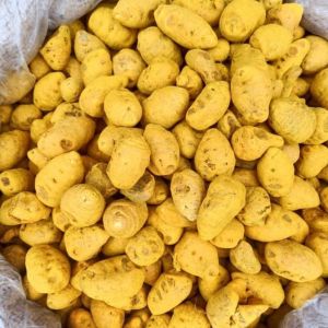Organic Premium Turmeric