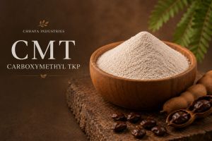 Carboxymethyl Tamarind Kernel Powder