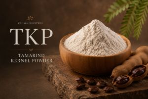 Tamarind Kernel Powder