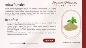 Ayurveda Adusa Powder