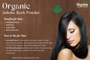 Ayurveda Ashoka Bark Powder