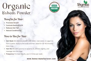 Ayurveda Baheda Powder