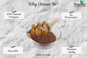 Ayurveda Baheda Powder