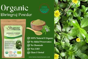 Ayurveda Bhringraj Powder