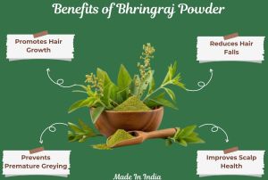 Ayurveda Bhringraj Powder