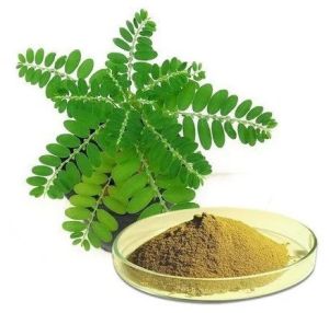 Ayurveda Bhumi Amla Powder