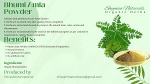 Ayurveda Bhumi Amla Powder