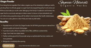 Ayurveda Ginger Powder