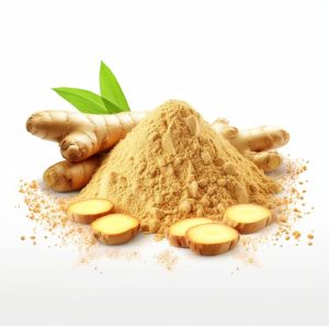 Ayurveda Ginger Powder