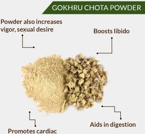 Ayurveda Gokhru Powder