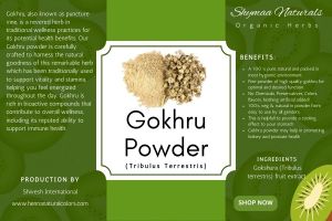 Ayurveda Gokhru Powder