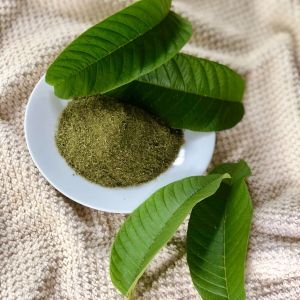 Ayurveda Guava Leaf Powder