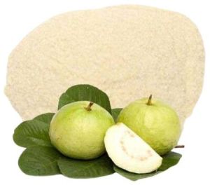 Ayurveda Guava Leaf Powder
