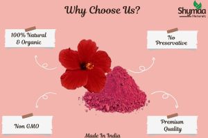 Ayurveda Hibiscus Powder