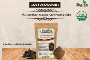 Ayurveda Jatamansi Powder