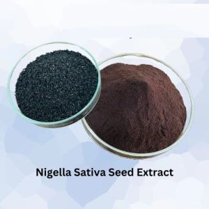 Ayurveda Kalonji Powder
