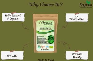 Ayurveda Karela Powder