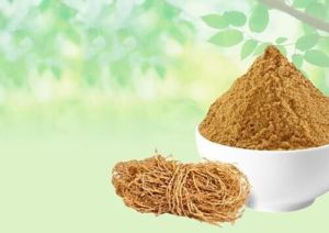 Ayurveda Khas Powder