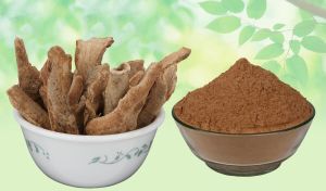 Ayurveda Lodhra Powder